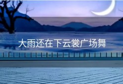 大雨还在下云裳广场舞