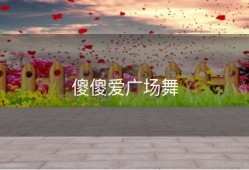 傻傻爱广场舞