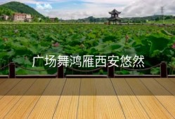 广场舞鸿雁西安悠然