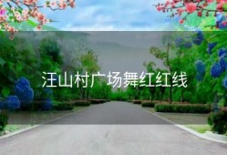 汪山村广场舞红红线