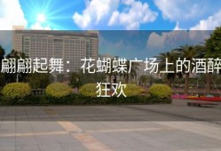 翩翩起舞：花蝴蝶广场上的酒醉狂欢
