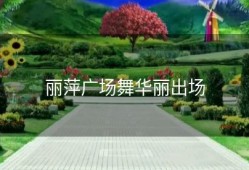 丽萍广场舞华丽出场