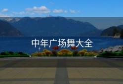中年广场舞大全