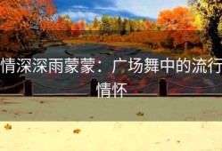 情深深雨蒙蒙：广场舞中的流行情怀