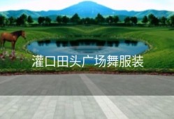 灌口田头广场舞服装