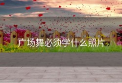 广场舞必须学什么照片