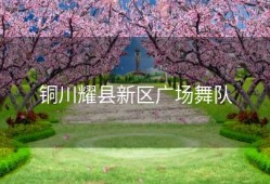 铜川耀县新区广场舞队