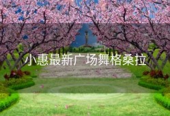 小惠最新广场舞格桑拉