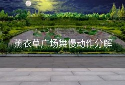 薰衣草广场舞慢动作分解