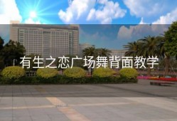 有生之恋广场舞背面教学