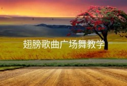 翅膀歌曲广场舞教学