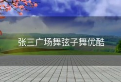 张三广场舞弦子舞优酷