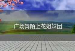 广场舞陌上花姐妹团