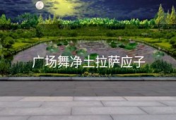 广场舞净土拉萨应子