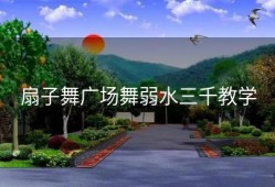 扇子舞广场舞弱水三千教学