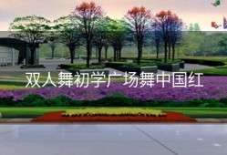 双人舞初学广场舞中国红