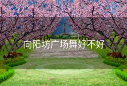 向阳坊广场舞好不好