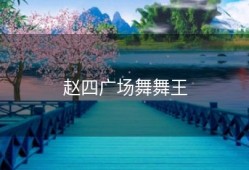 赵四广场舞舞王