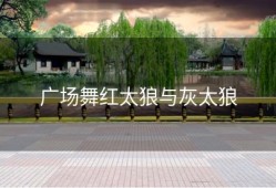 广场舞红太狼与灰太狼