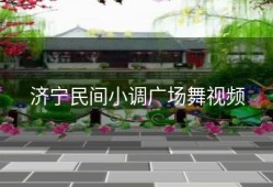 济宁民间小调广场舞视频