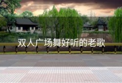 双人广场舞好听的老歌