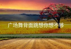 广场舞背面跳想你想不够