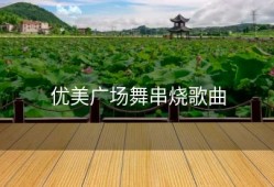 优美广场舞串烧歌曲