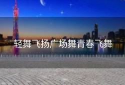 轻舞飞扬广场舞青春飞舞
