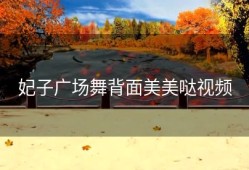 妃子广场舞背面美美哒视频