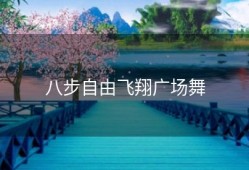 八步自由飞翔广场舞