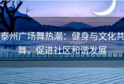 泰州广场舞热潮：健身与文化共舞，促进社区和谐发展
