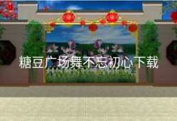 糖豆广场舞不忘初心下载