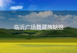 临沂广场舞藏族姑娘