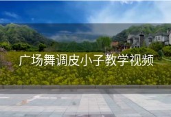 广场舞调皮小子教学视频