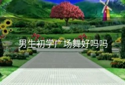 男生初学广场舞好吗吗