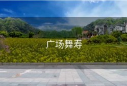 广场舞寿