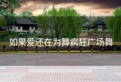 如果爱还在为舞疯狂广场舞
