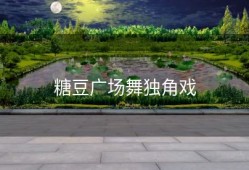 糖豆广场舞独角戏