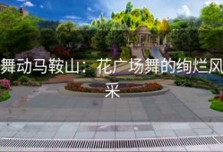 舞动马鞍山：花广场舞的绚烂风采