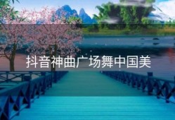 抖音神曲广场舞中国美