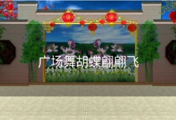广场舞胡蝶翩翩飞