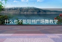 什么也不能阻挡广场舞教学