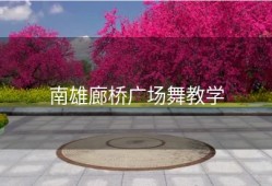 南雄廊桥广场舞教学