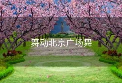 舞动北京广场舞