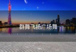 群舞飞扬广场舞