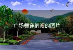 广场舞穿裤衩的图片