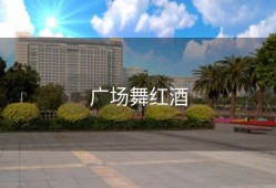 广场舞红酒