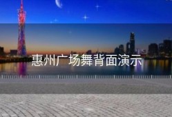惠州广场舞背面演示