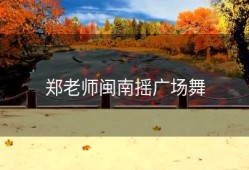 郑老师闽南摇广场舞