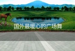 国外最暖心的广场舞
